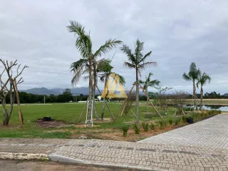 Terreno, foto 13