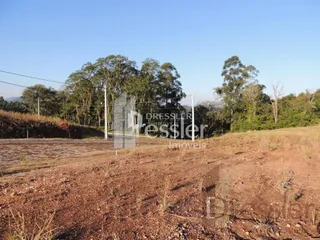 Paisagem de terra seca e vegetação no campo.