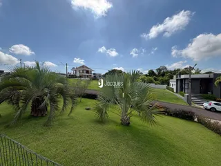 Vista externa de um terreno com gramado e palmeiras em Lajeado.