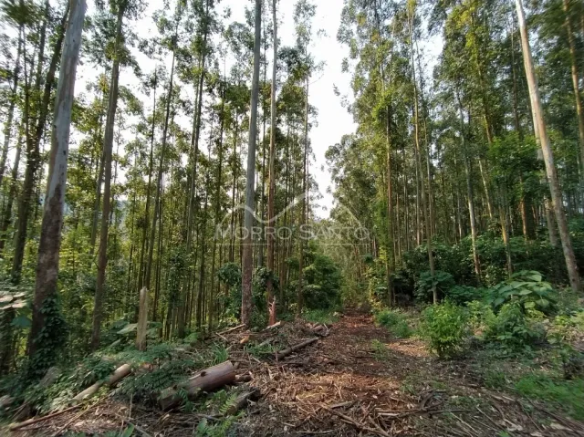 Área rural, foto 2