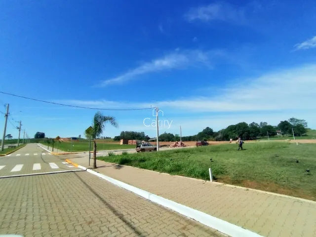 Terreno, foto 2