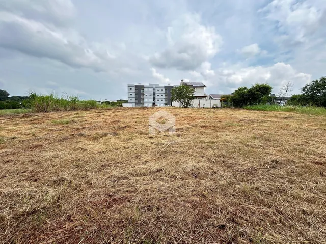 Terreno com vegetação seca em frente a uma residência em Lajeado.