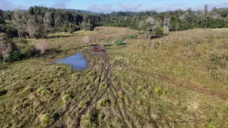 Vista aérea de uma área de campo gramado com vegetação densa ao fundo.