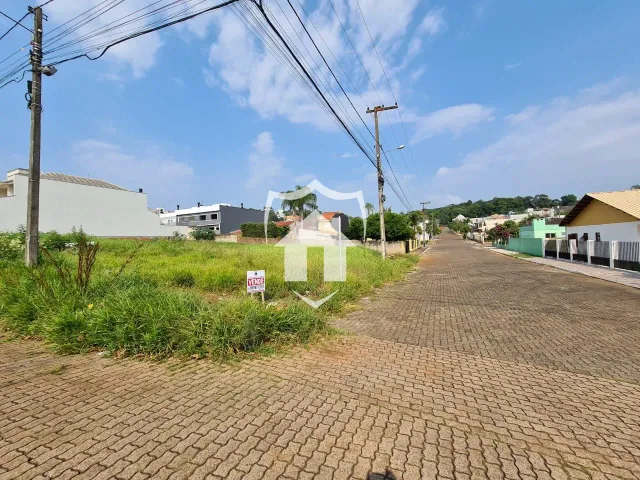 Vista da rua com casas e vegetação na Lajeado.