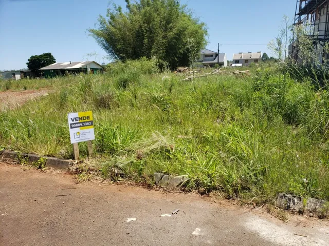 Terreno