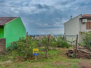 Vista externa da propriedade com cercas e vegetação no primeiro plano.