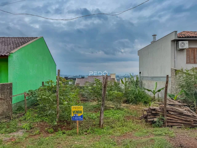 Vista externa da propriedade com cercas e vegetação no primeiro plano.