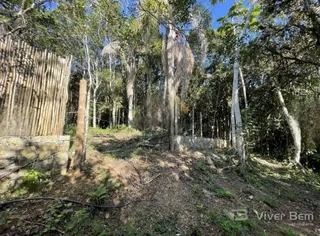 Terreno, foto 2
