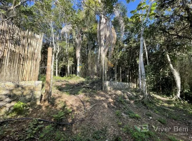 Terreno, foto 2