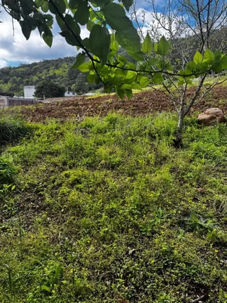 Terreno, foto 2