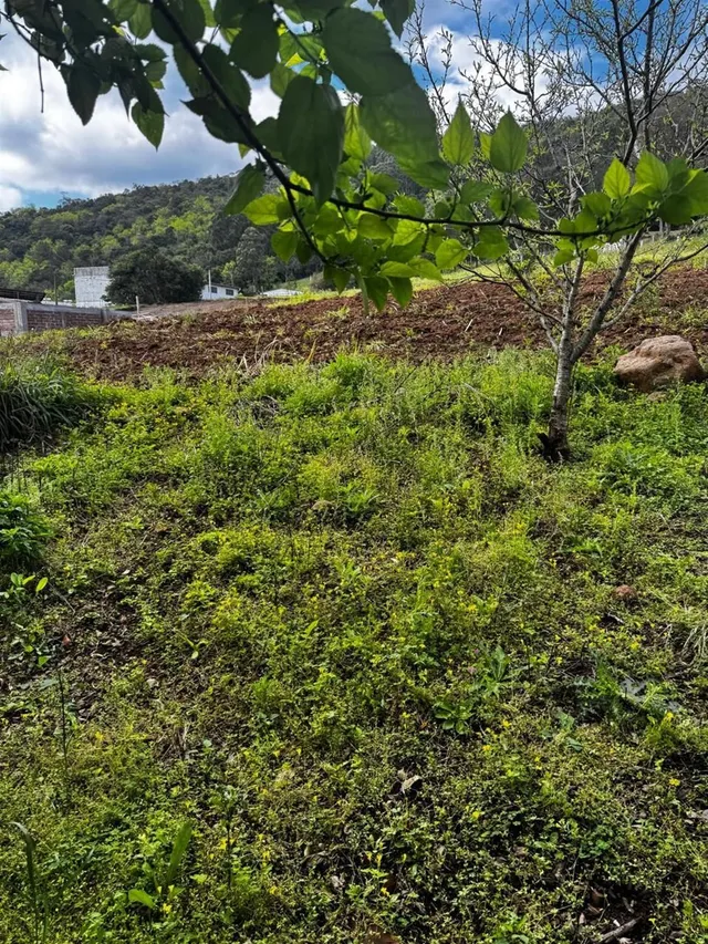 Terreno, foto 2