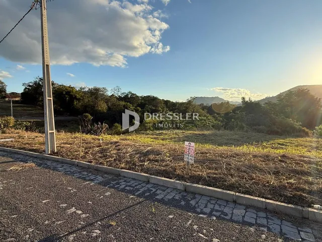 Vista da propriedade com vegetação e estrada no fundo.