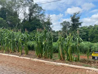 Terreno, foto 2