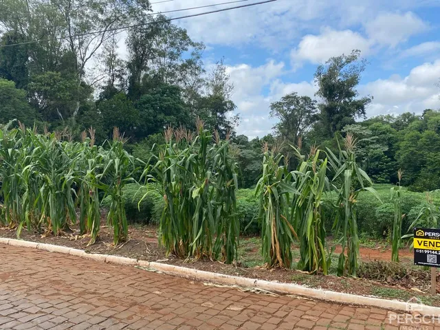 Terreno, foto 2