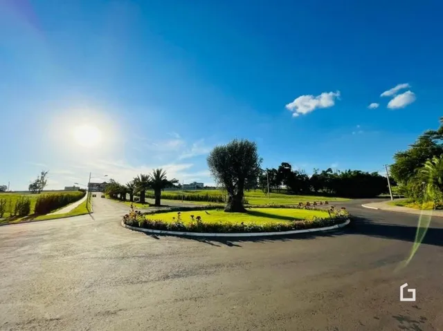 Vista externa de uma propriedade com paisagismo verde e estrada.