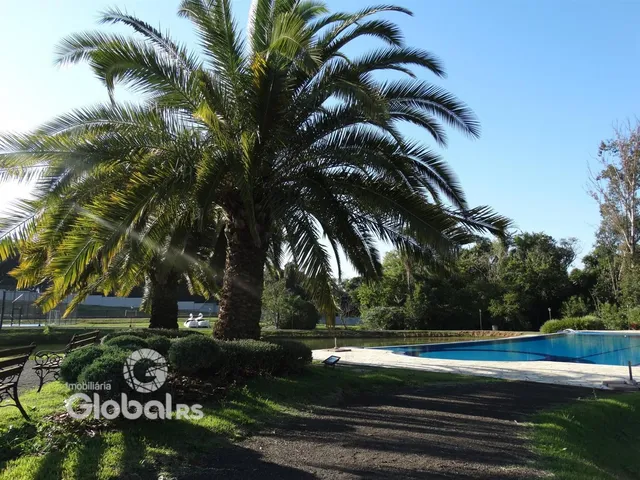 Paisagem externa com palmeiras e piscina em Lajeado.