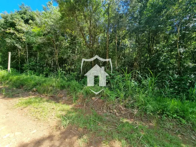 Área rural, foto 3
