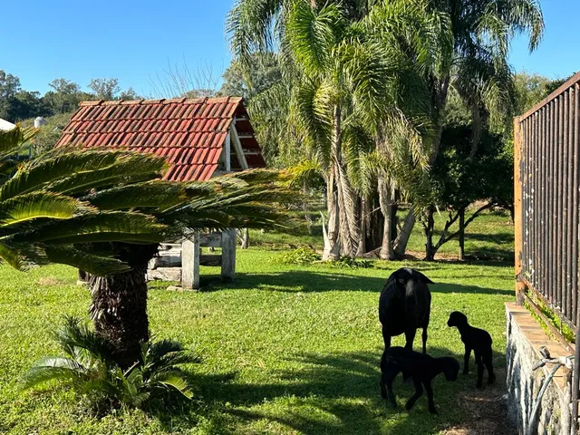 Área rural