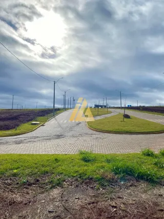 Terreno, foto 5