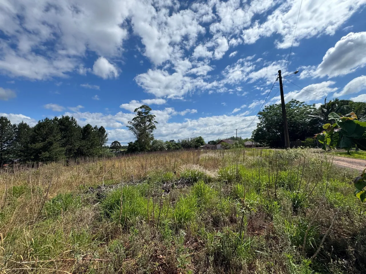 Terreno, foto 1