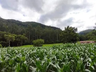 Terreno, foto 2