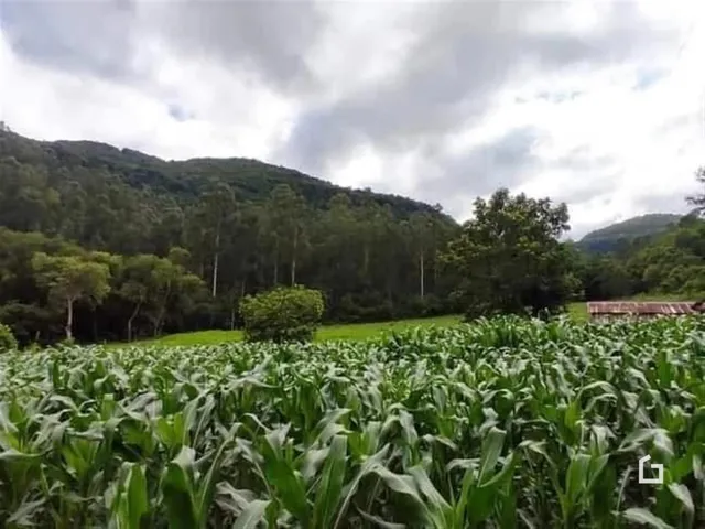 Terreno, foto 2