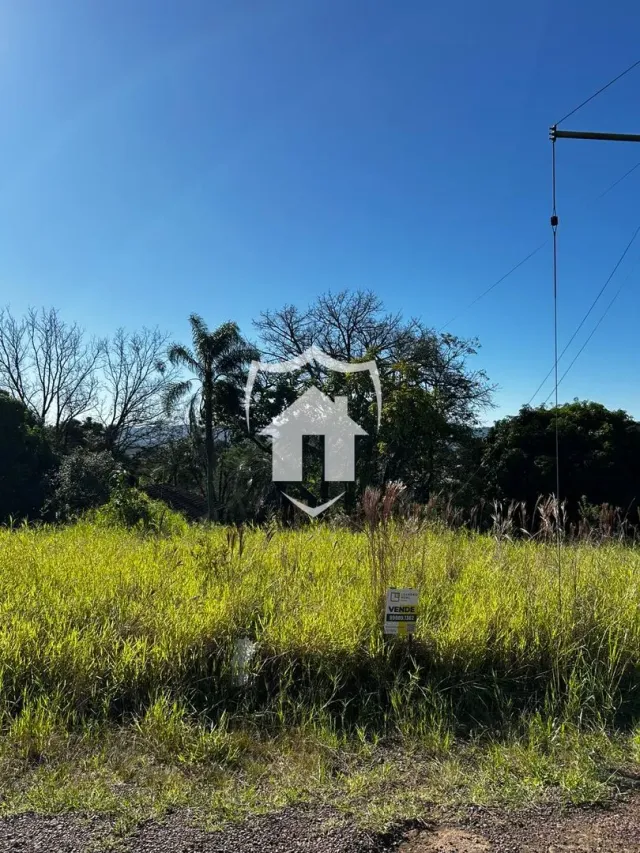Vista de um campo de grama verde com vegetação ao fundo.