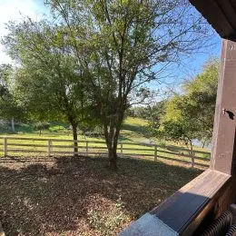 Vista externa mostrando árvores e um campo verde com cerca.