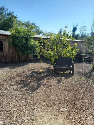 Casa com 2 dormitórios, foto 8