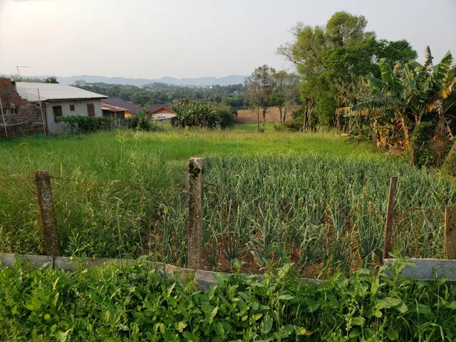 Área rural