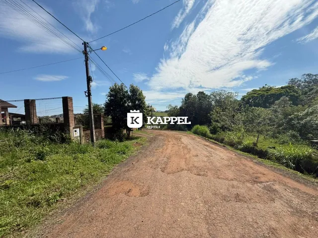 Vista da estrada de terra que leva à propriedade em Lajeado, Brasil.
