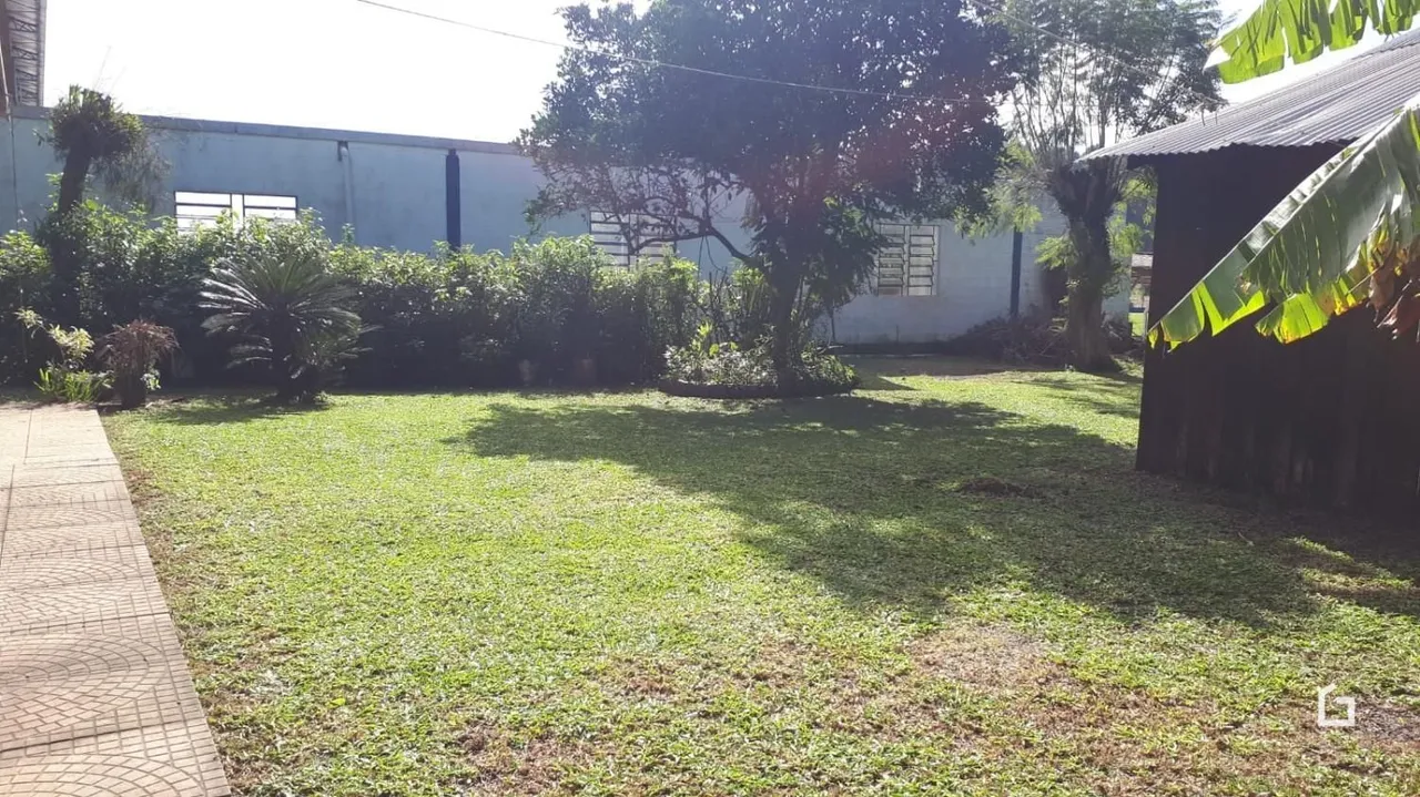 Jardim gramado com muro e vegetação ao ar livre