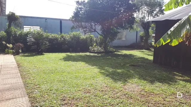 Jardim gramado com muro e vegetação ao ar livre