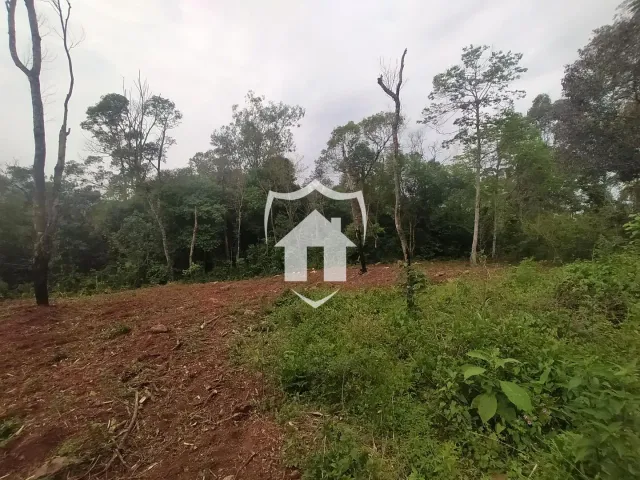 Área rural