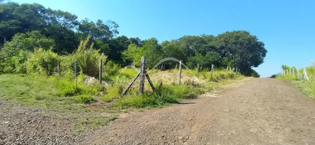 Vista de uma estrada de terra em uma área rural com vegetação.