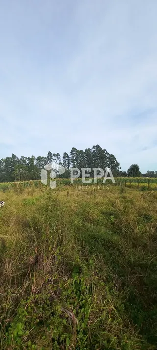 Área rural, foto 20