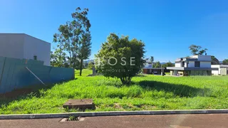 Terreno, foto 2