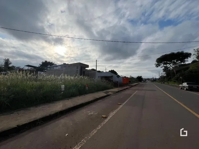 Vista da rua com vegetação e edifícios ao fundo.