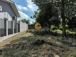 Terreno, foto 1
