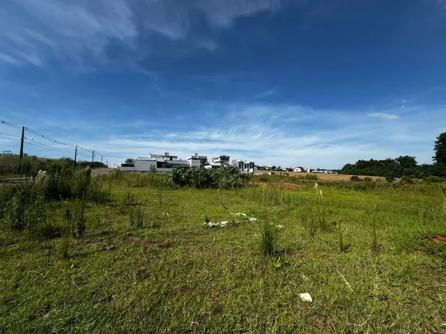 Paisagem de campo com vegetação verde e céu azul.