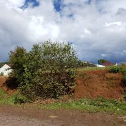 Foto de uma área externa com vegetação seca e solo no primeiro plano.