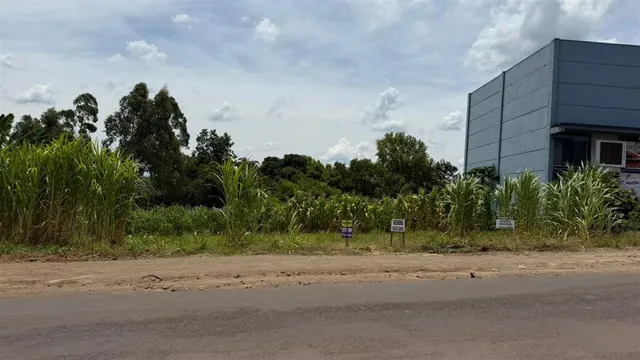 Terreno, foto 3