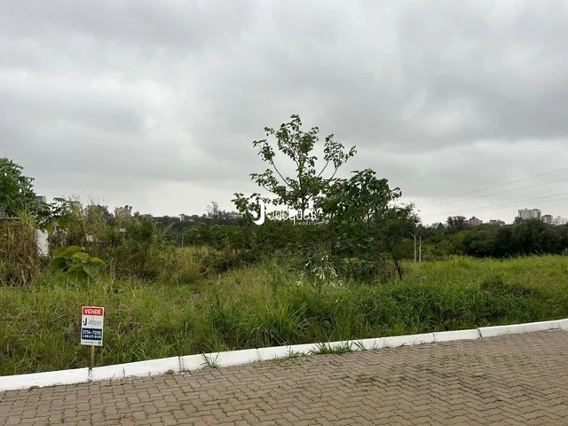 Terreno, foto 2