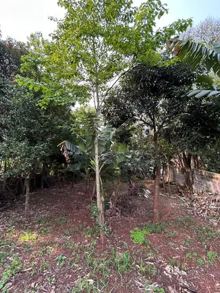 Terreno, foto 3