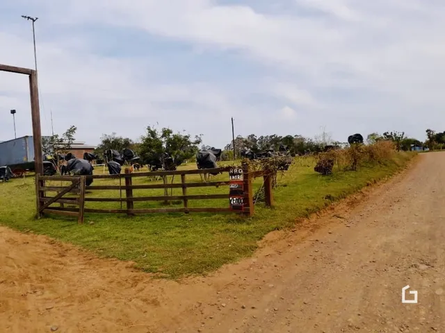 Vista de uma cerca de madeira e campo gramado ao longo de uma estrada de terra.