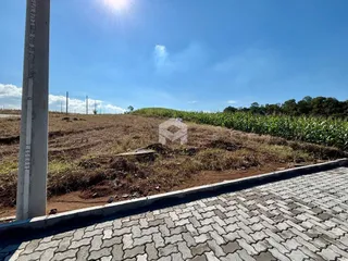 Vista da divisa de uma propriedade com terra e vegetação ao lado de uma área pavimentada.