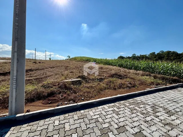 Vista da divisa de uma propriedade com terra e vegetação ao lado de uma área pavimentada.