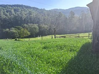 Área rural, foto 7