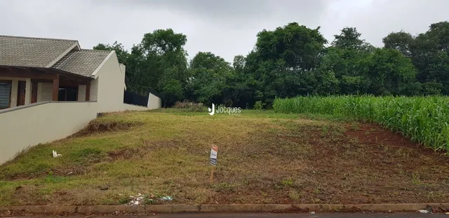 Vista de um terreno aberto com vegetação no fundo.