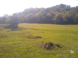 Campo verde com vegetação densa ao fundo.